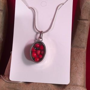 Sale‼️925 Silver Peruvian Huayruro Bean  Necklace